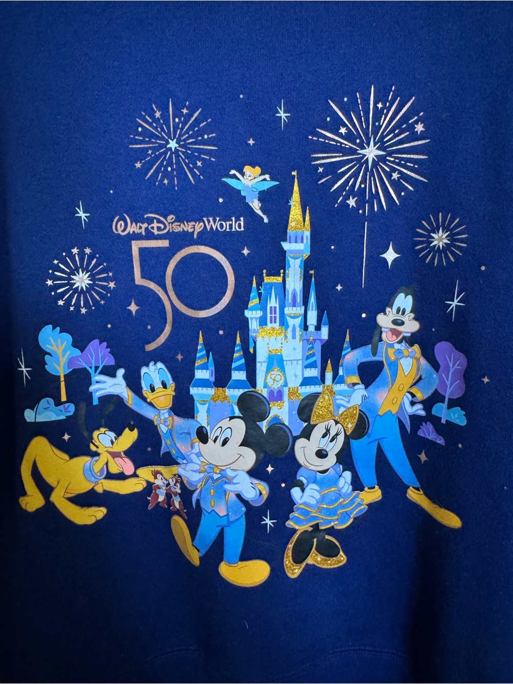 Walt Disney World 50th - Picture 5 of 6